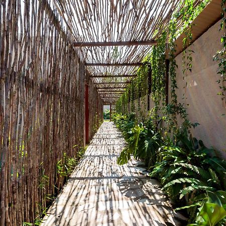 Natu Boutique Stays São Miguel dos Milagres Exteriér fotografie